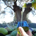 DOP IRPINIA COLLINE DELL’ UFITA\Ravece: