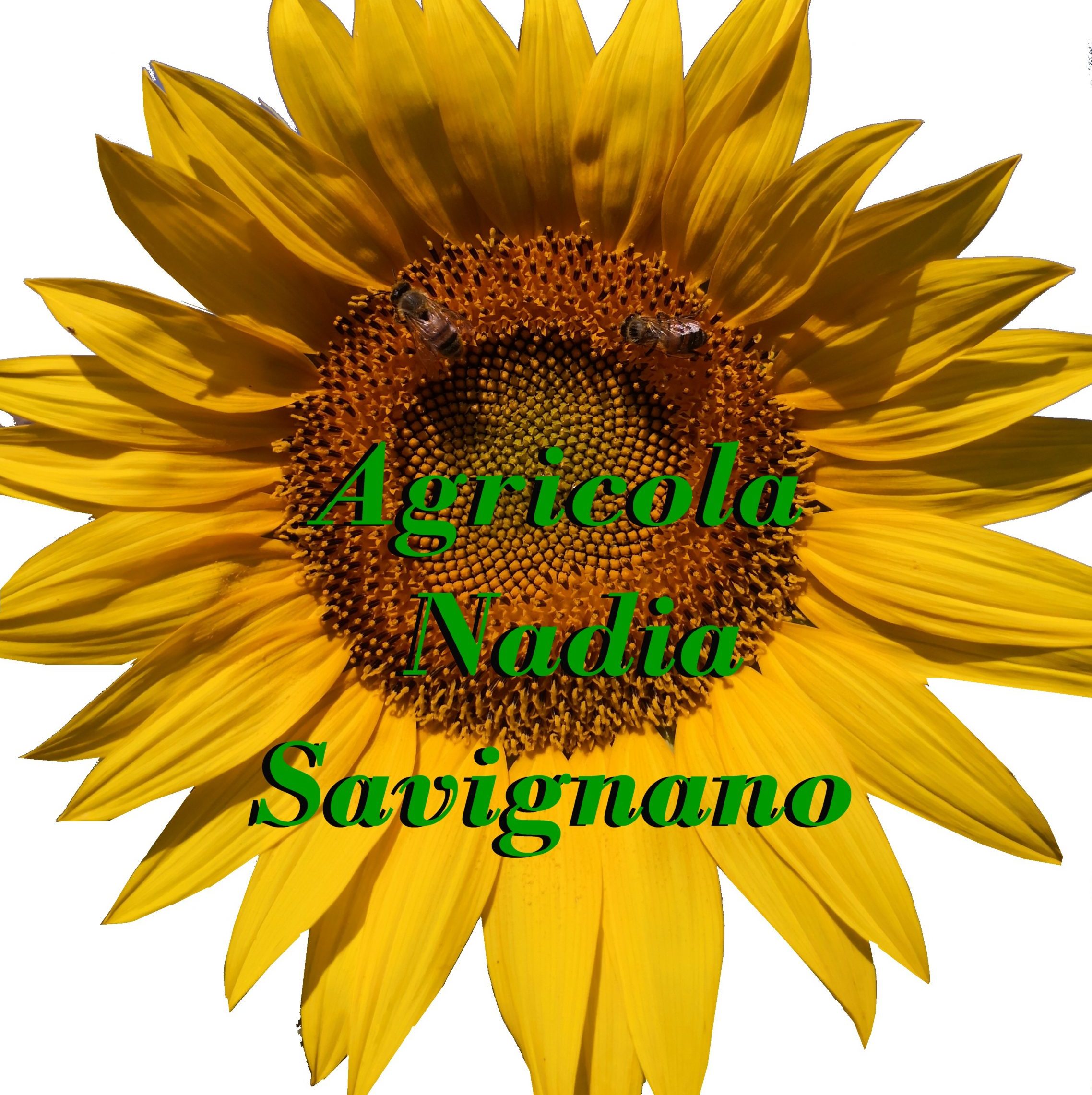 Agricola Nadia Savignano